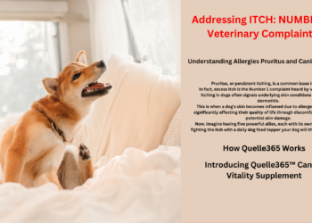 Addressing ITCH: NUMBER 1 Veterinary Complaint